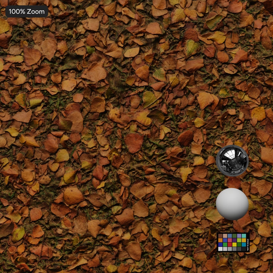 Leaf Fragments Texture