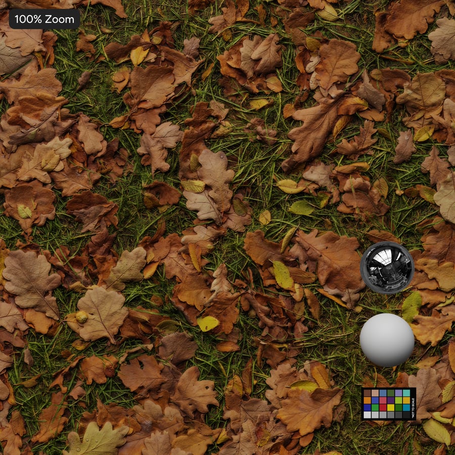 Autumn Leaves on Grass Texture