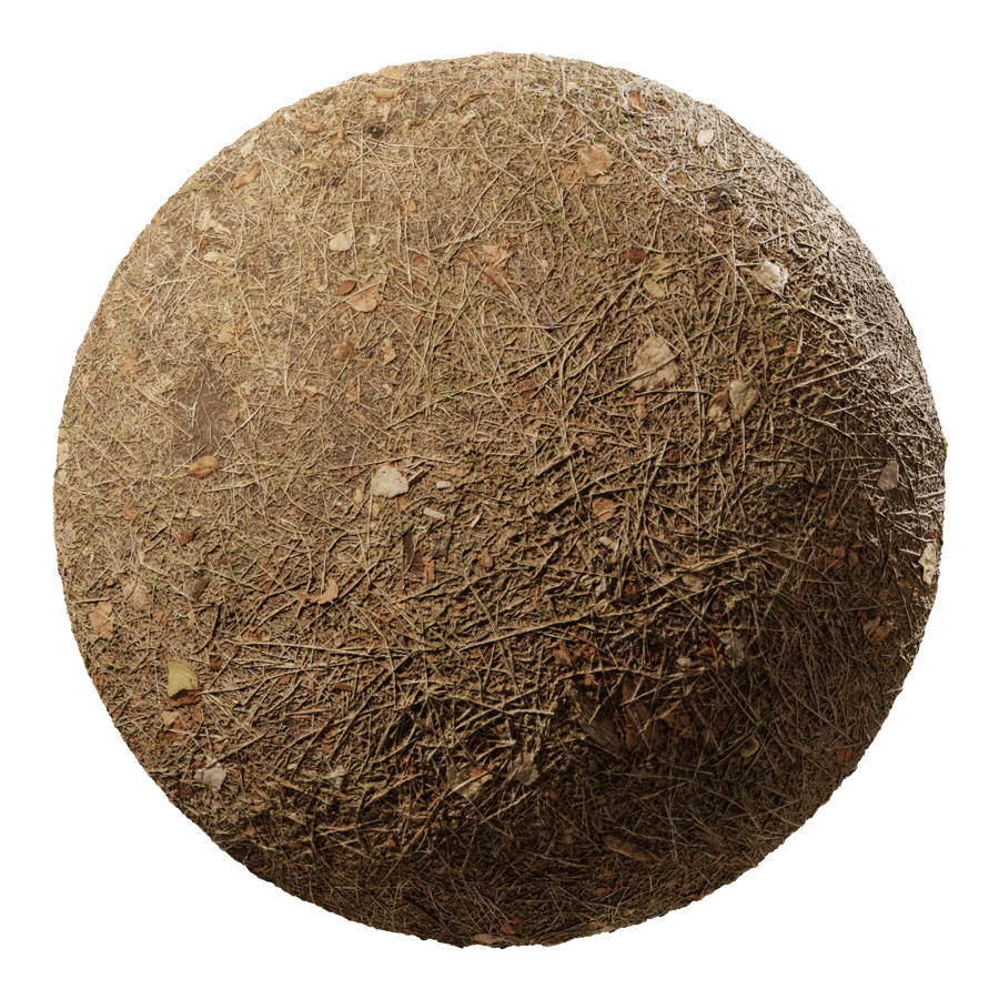 Forest Needles Textures