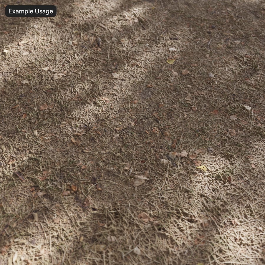 Forest Needles Textures