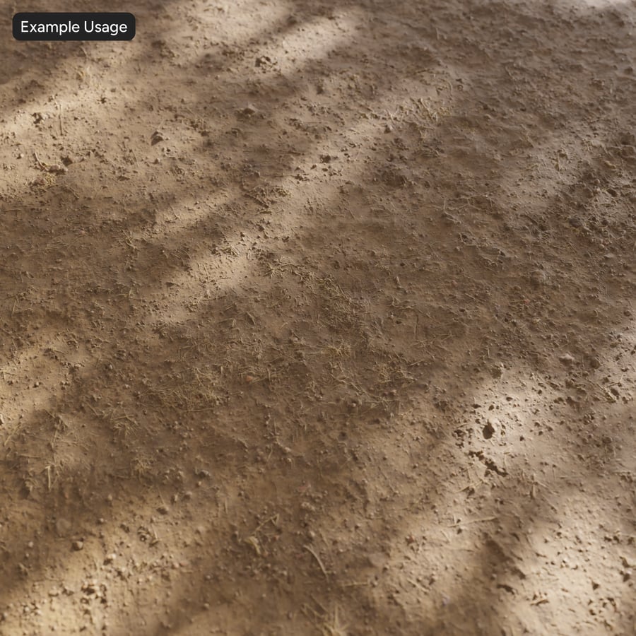 Dy Grass on Dirt Texture