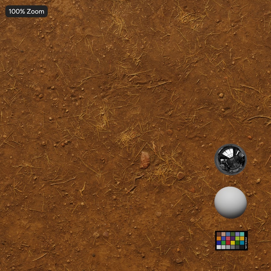Dy Grass on Dirt Texture