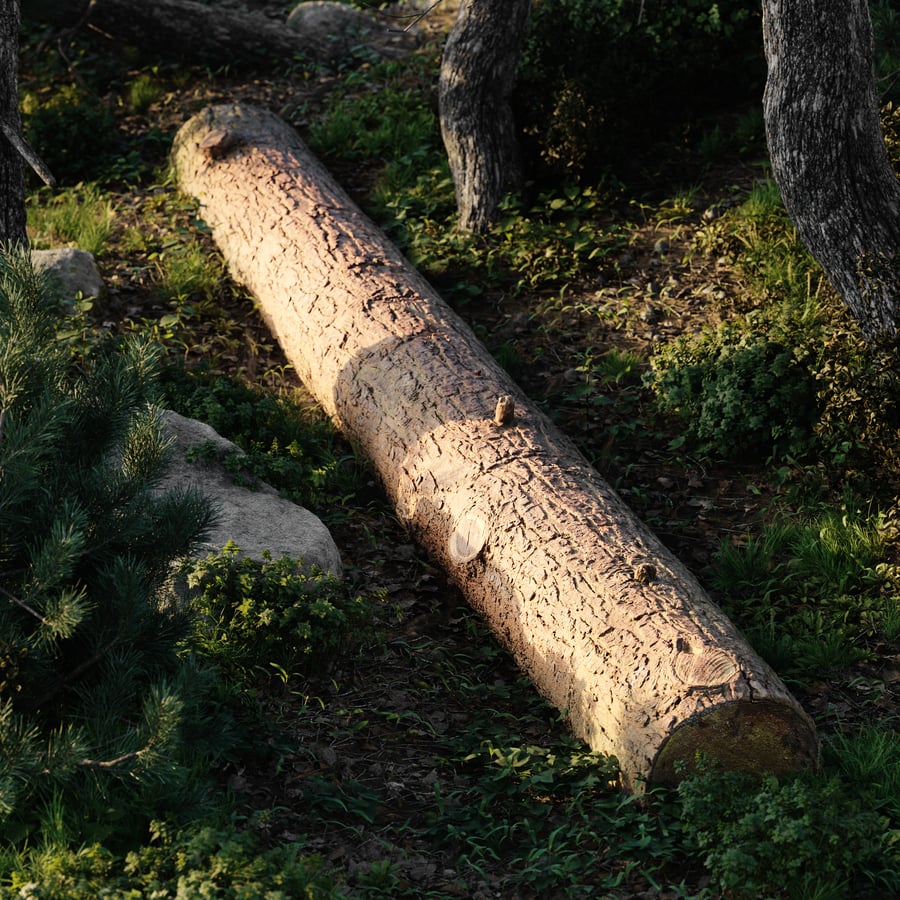 Μοντέλο Straight Fresh Log