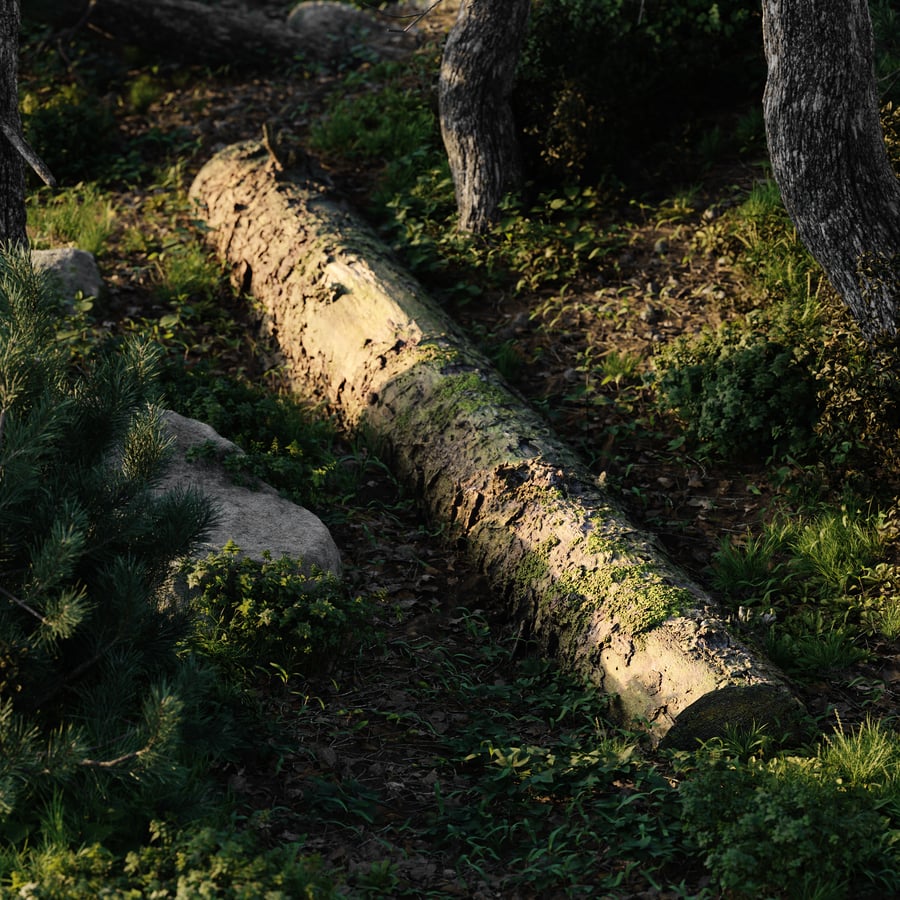 Modelo de tronco grande de bosque musgoso en descomposición