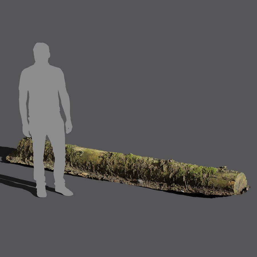 Modelo de tronco grande de bosque musgoso en descomposición