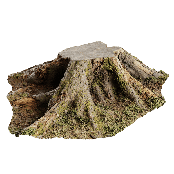 Modelo de cepo de raízes de floresta musgosa de corte curto