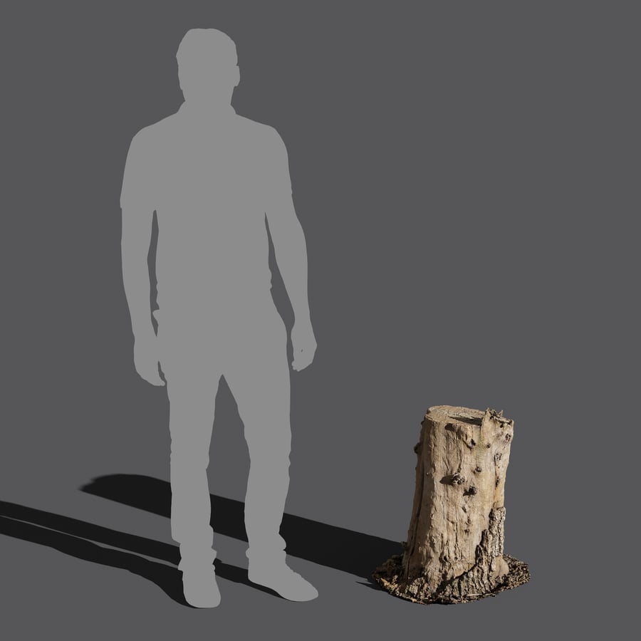 Μοντέλο μέτριας κοπής γυμνού κολοβώματος Split Stump