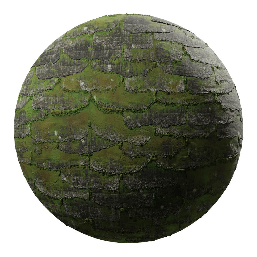 Damaged Mossy Roof Shingles Texture