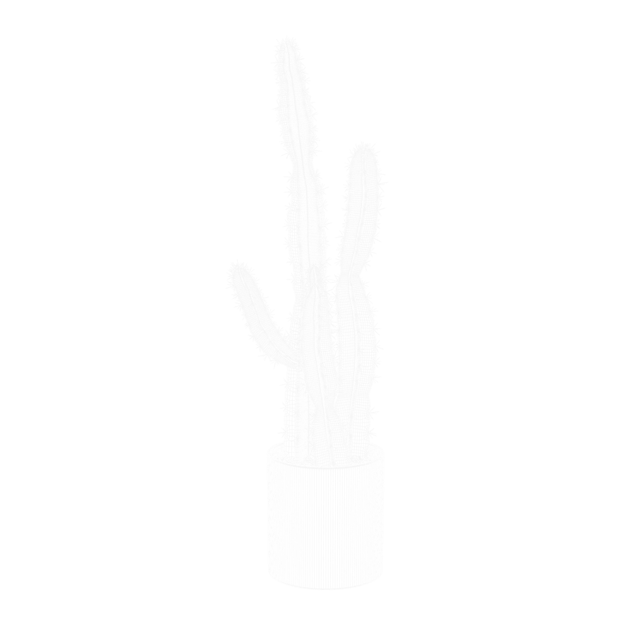 Model kaktusa Saguaro
