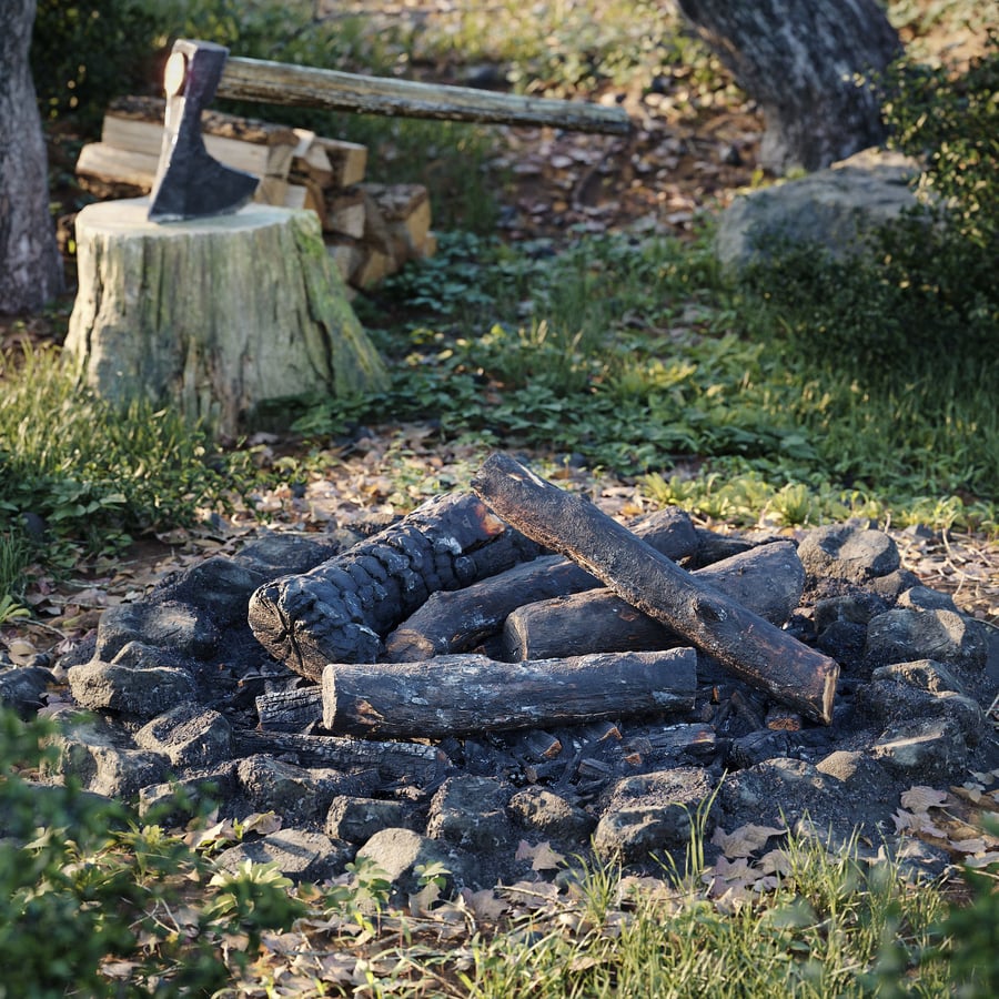 Colección de modelos de leña natural totalmente quemada
