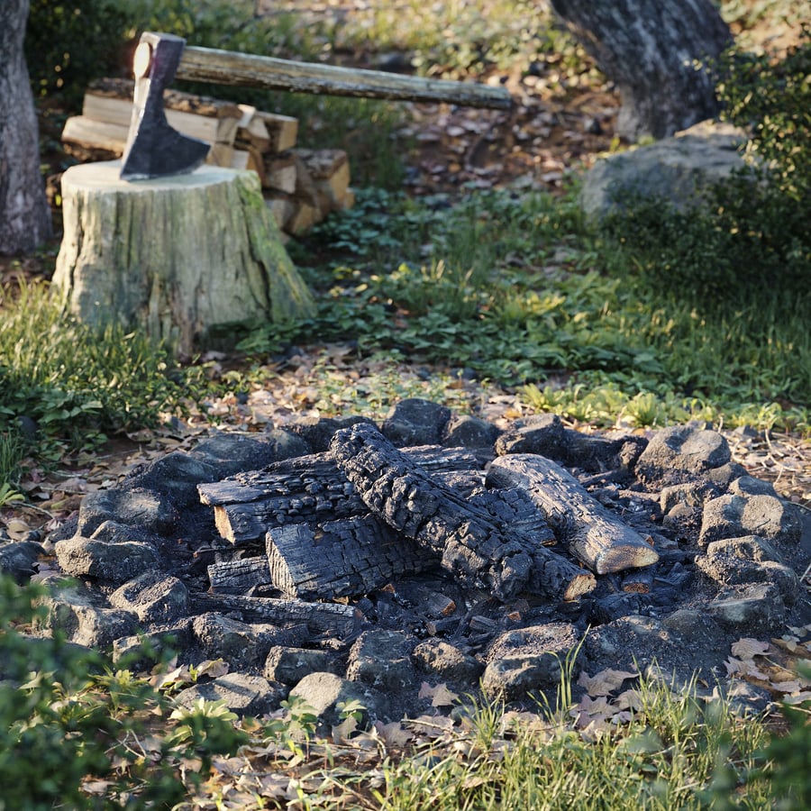 Collezione di modelli di legna da ardere spaccata completamente bruciata