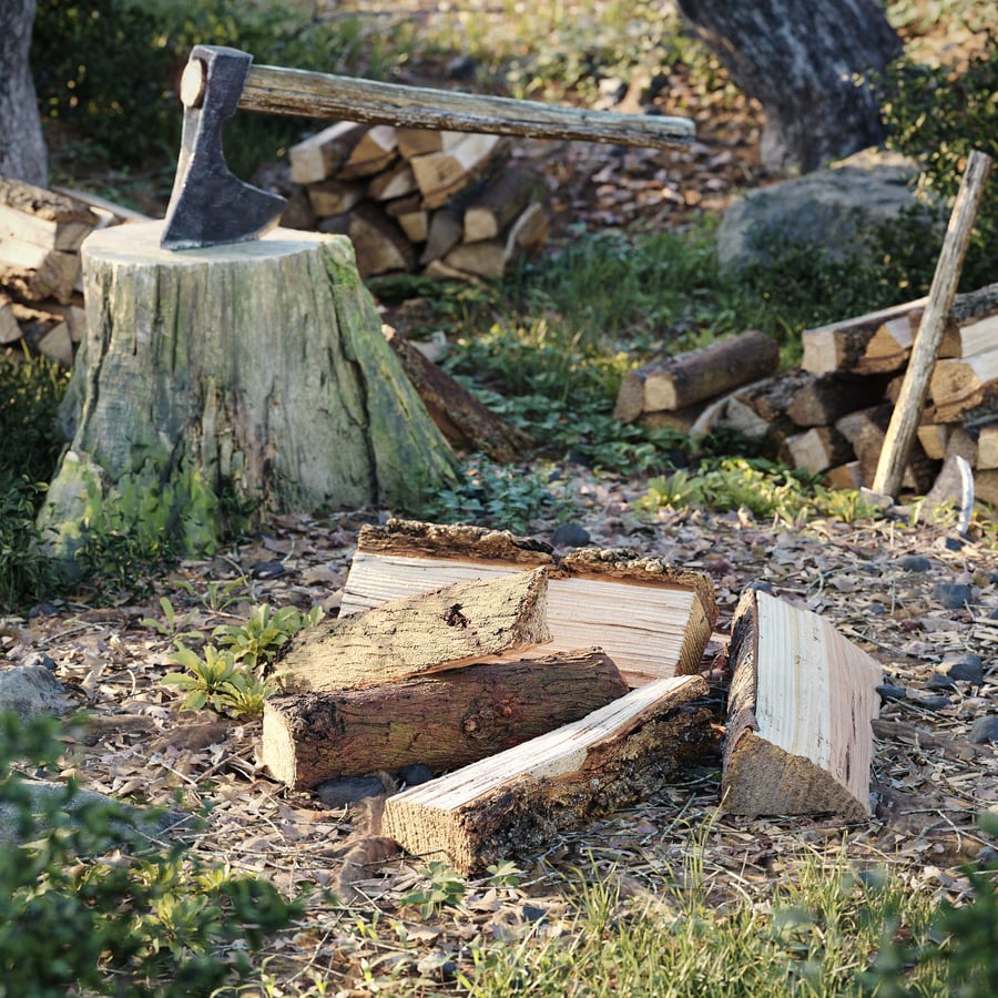 Collezione di modelli di legna da ardere in conifere spaccate