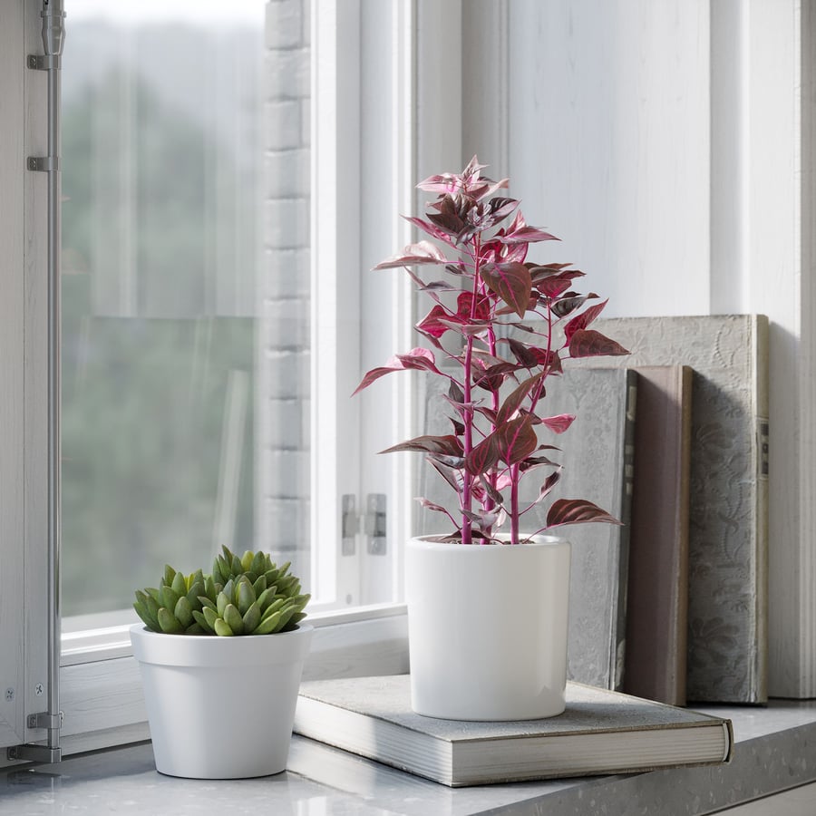Model Bloedbladplant