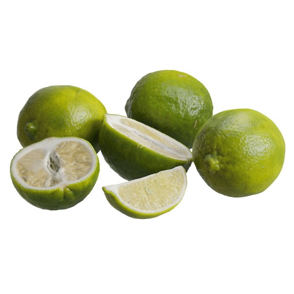 Limetten-Modelle
