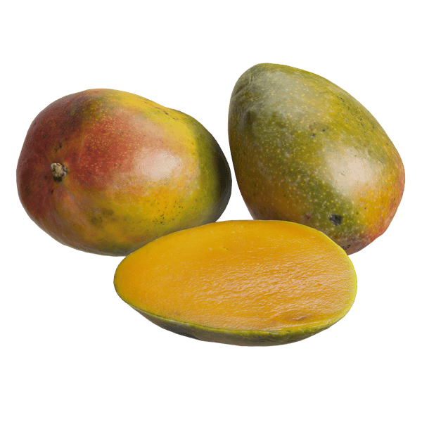 Mango-Modelle