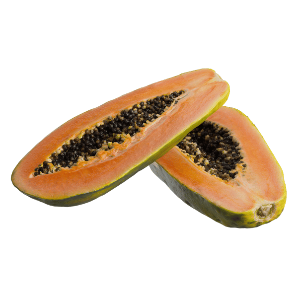 Halbierte Papaya Modelle