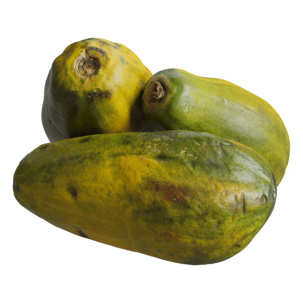 Papaya-Modelle