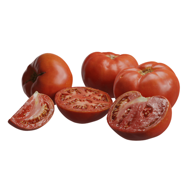 Tomaten-Modelle
