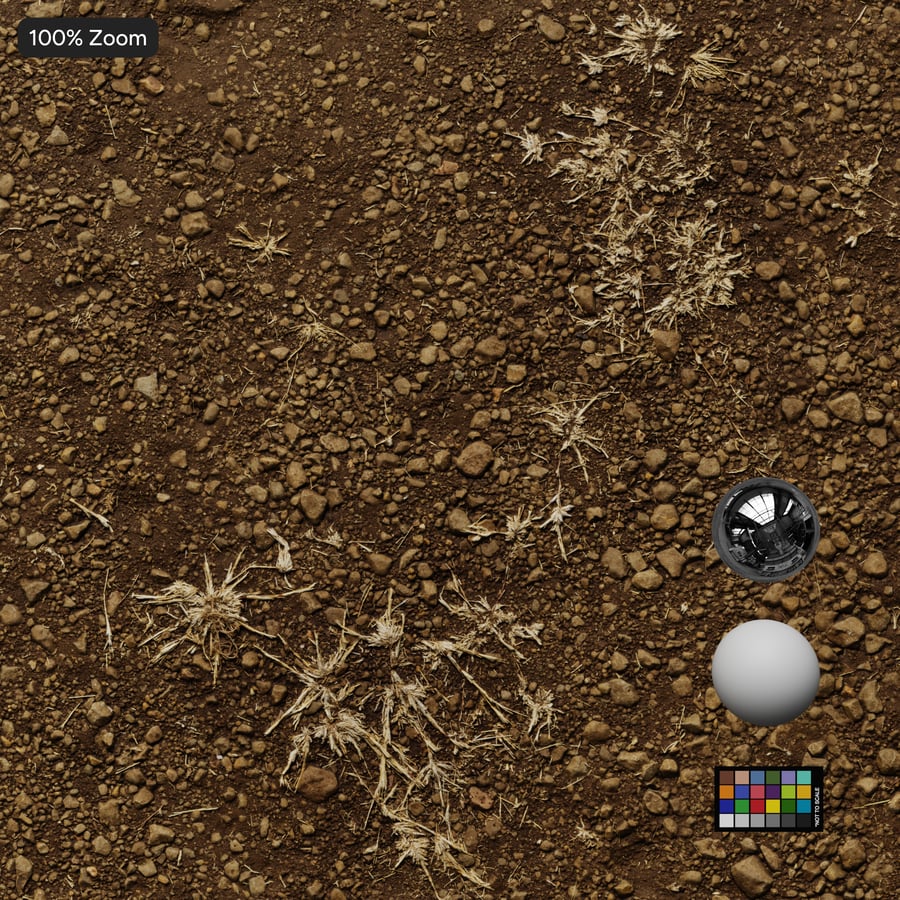Rock and Dead Weeds on Dirt Texture