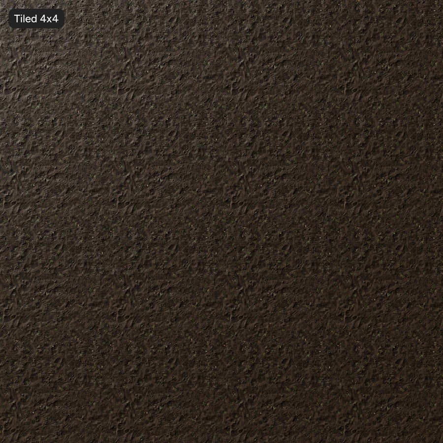 Texture d'un sol forestier nu avec des fleurs