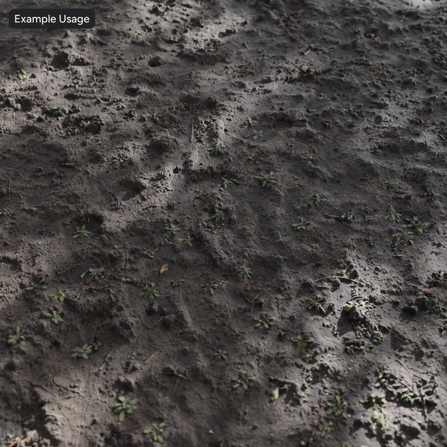 Texture d'un sol forestier nu avec des fleurs
