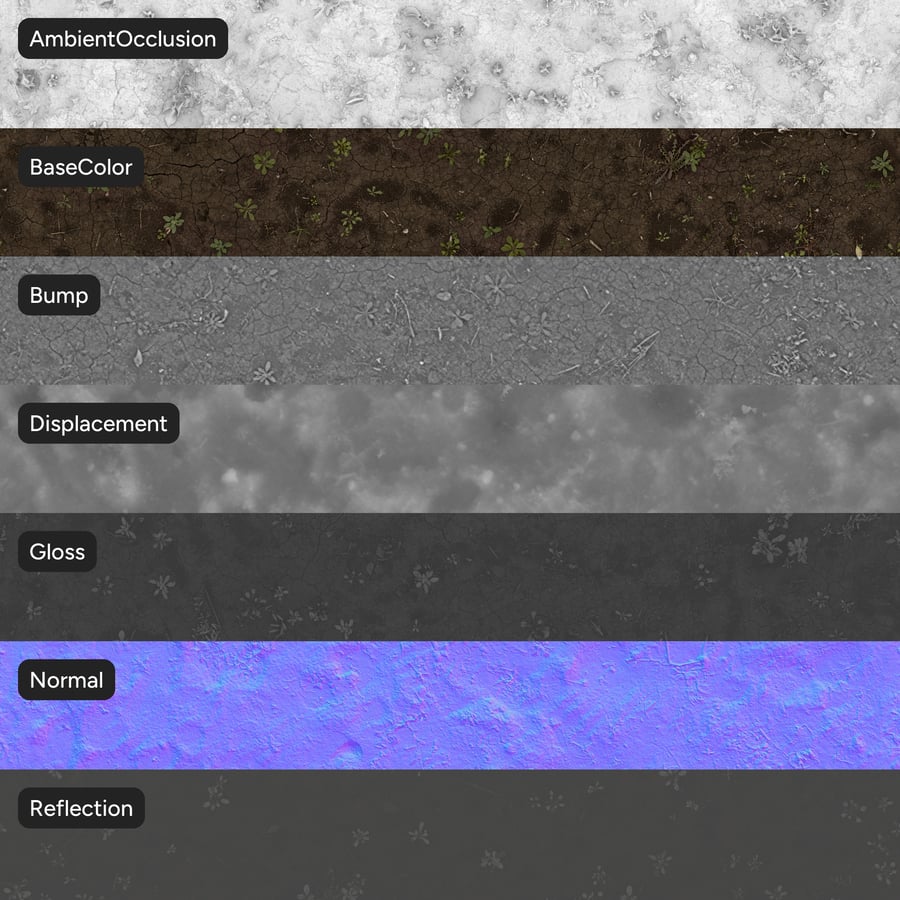 Texture d'un sol forestier nu avec des fleurs