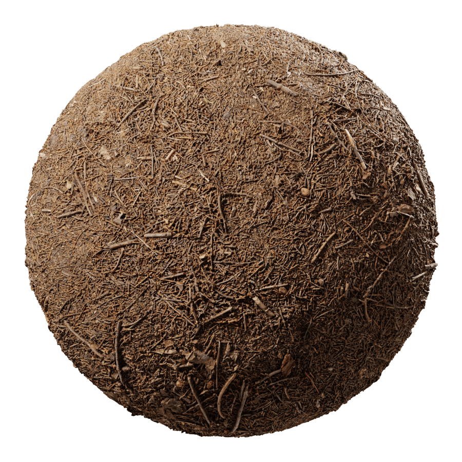 Forest Floor with Needles Texture