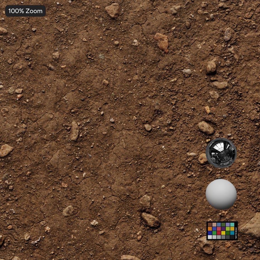 Scattered Rocks and Grass Patches Dirt Texture