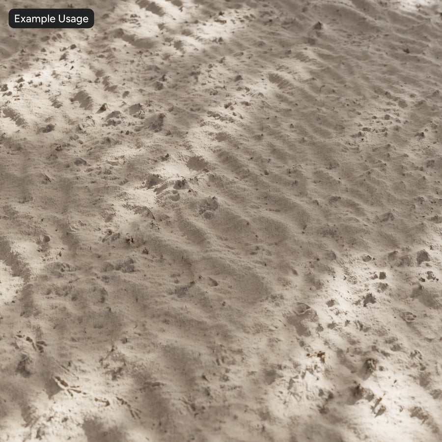 Windblown Sand and Vegetation Texture