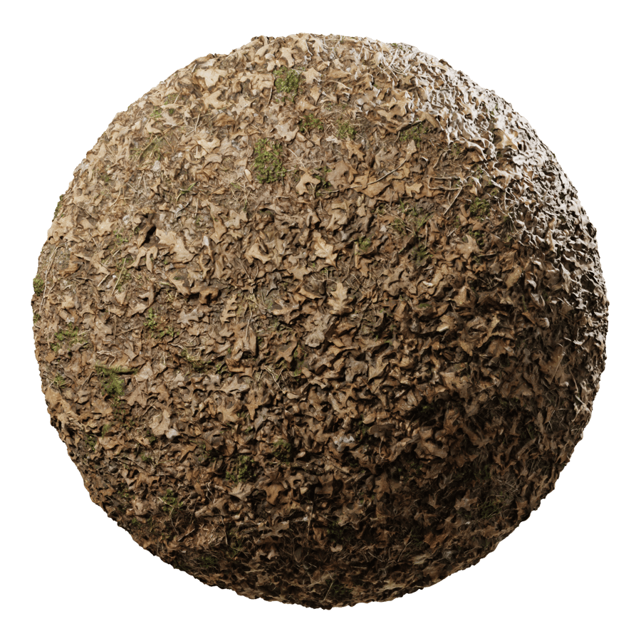 Dead Leaves with Grass Patches Texture