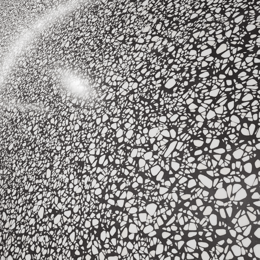 Large Chips Dalmatian Terrazzo Texture, Black