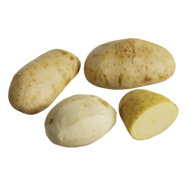 Kartoffel-Modelle