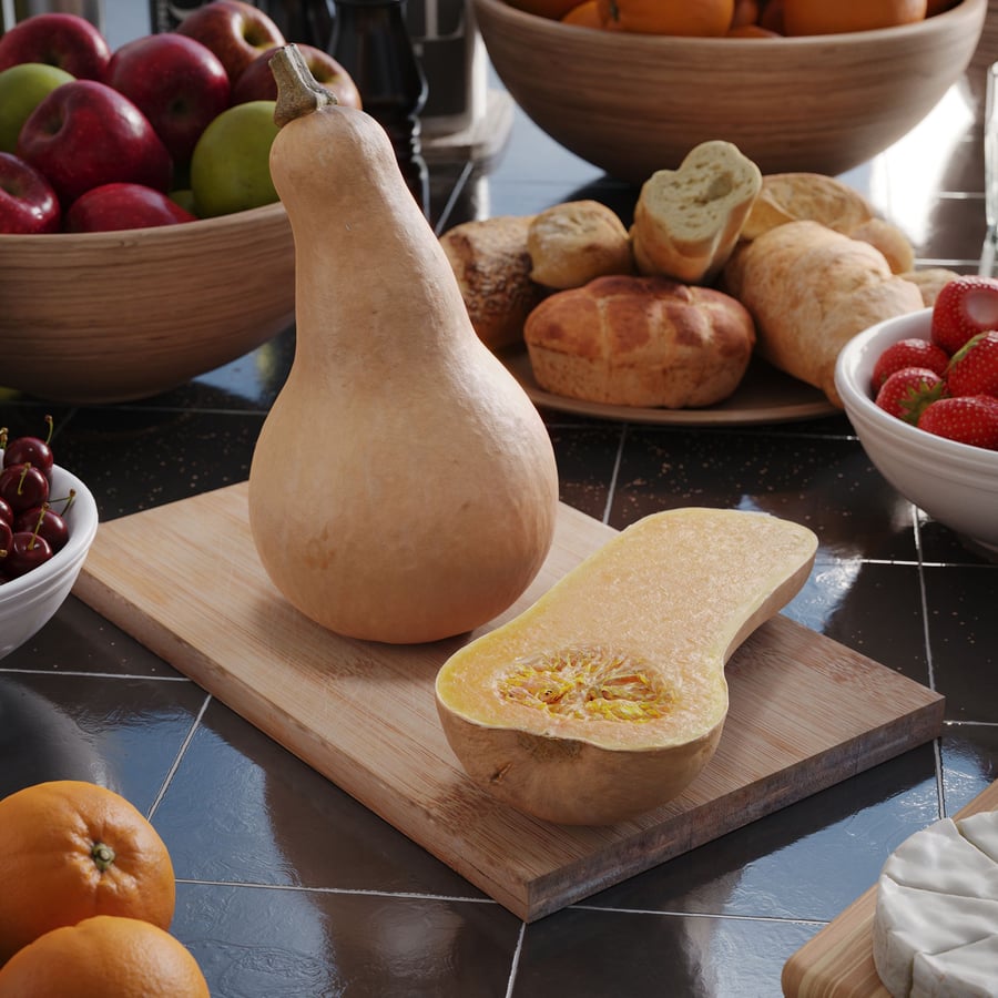 Butternut Squash Models