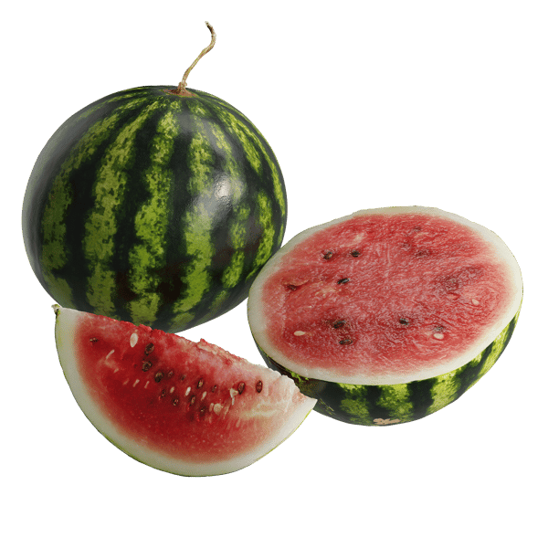 Wassermelone Modelle