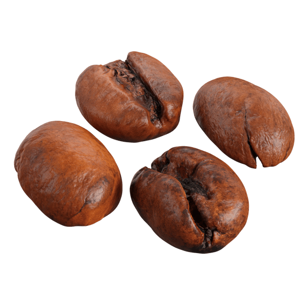 Μοντέλο κόκκων καφέ Robusta