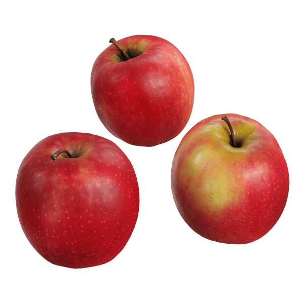 Pink Lady Apple Modell