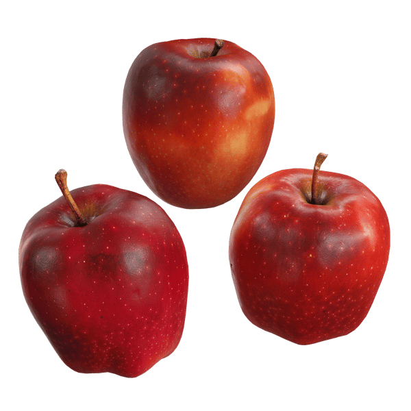 Red Delicious Apfel Modell