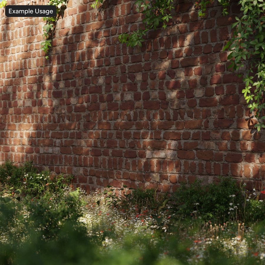 Reclaimed Dutch Bond Brick Wall Texture