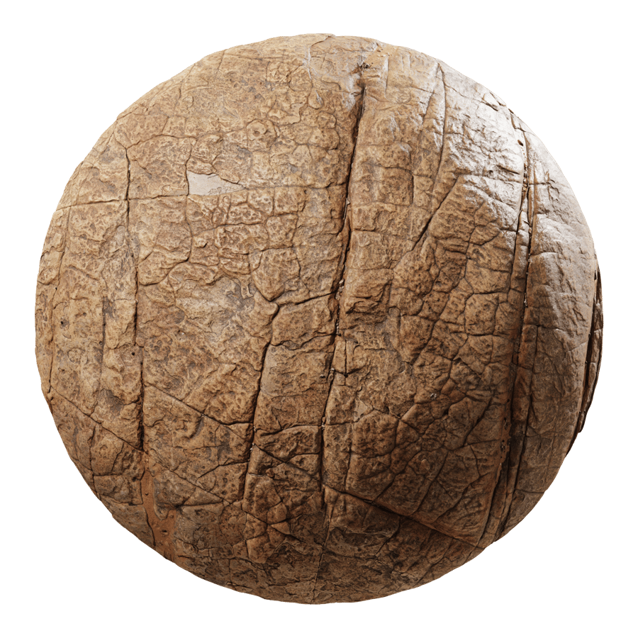 Cracked Savanna Rock Texture