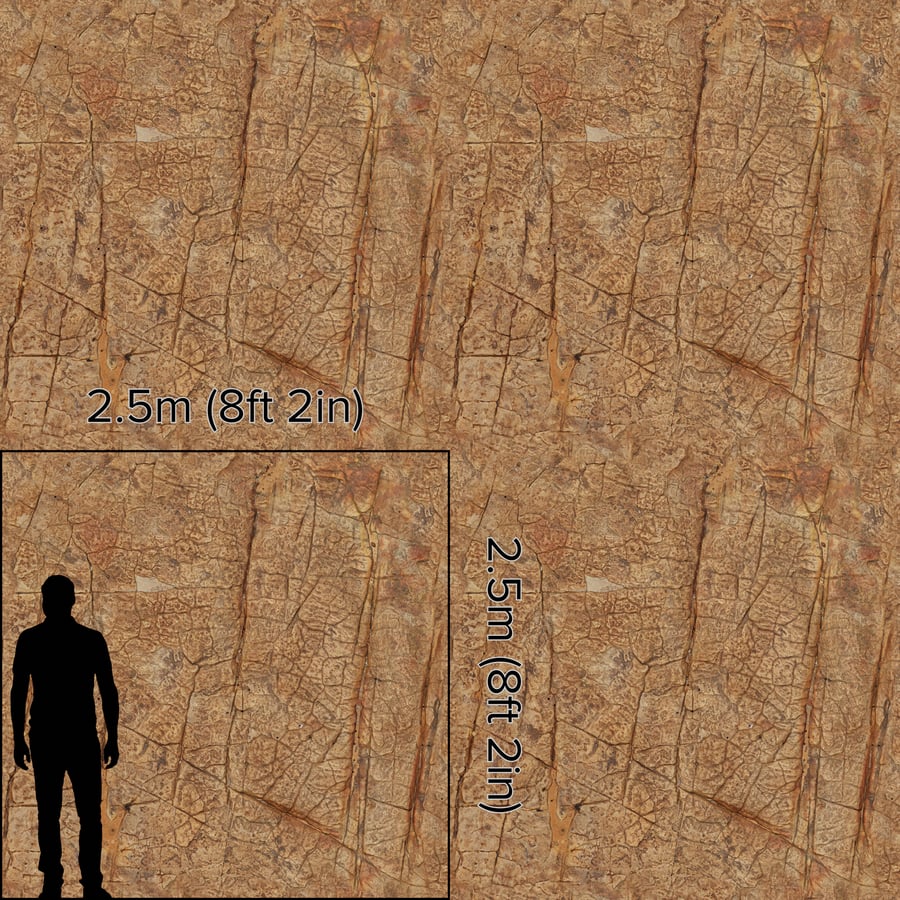 Cracked Savanna Rock Texture