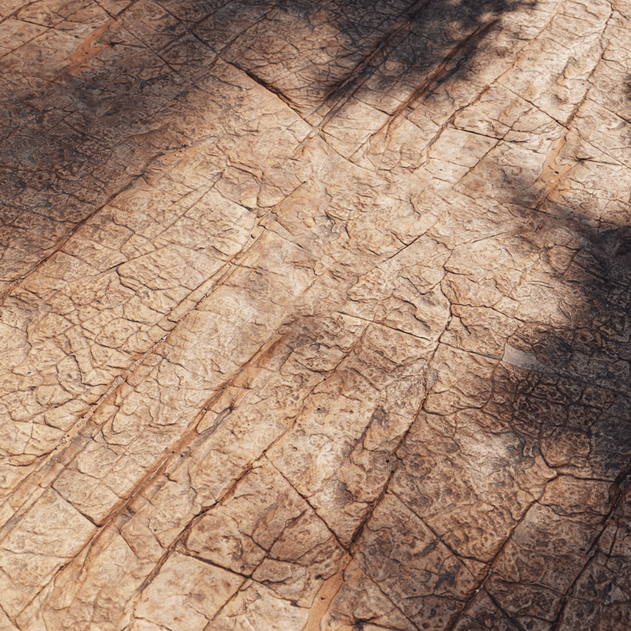 Cracked Savanna Rock Texture