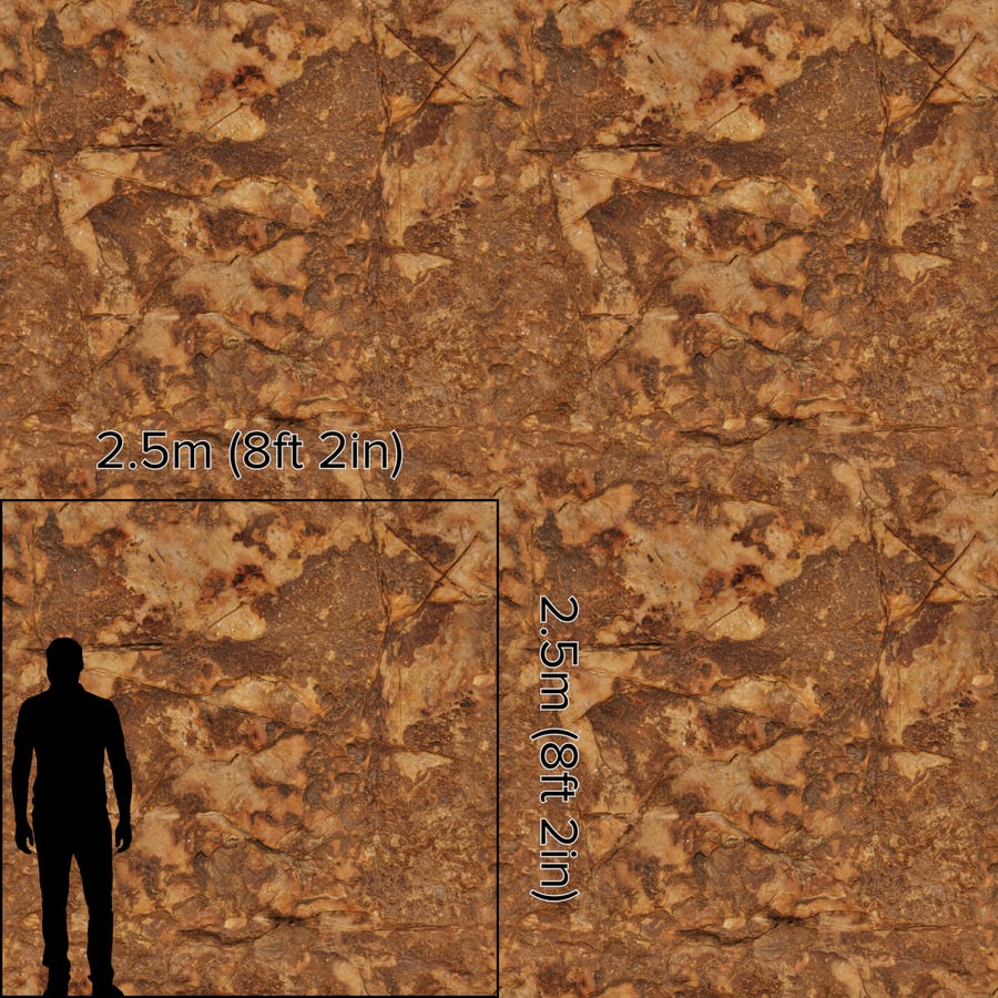 Patchy Savanna Rock Texture