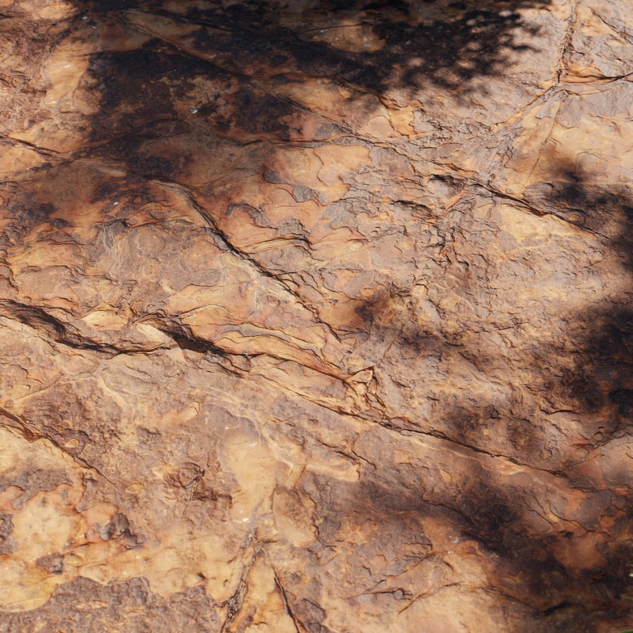 Patchy Savanna Rock Texture