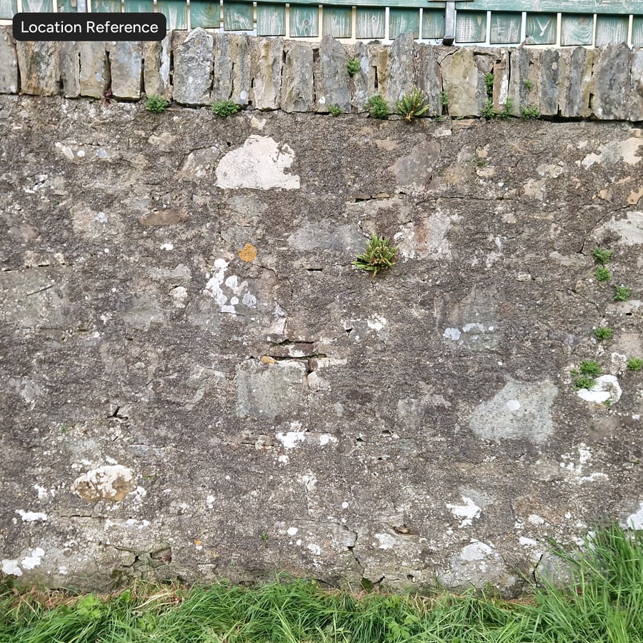 Mossy Stone Wall Texture, Dark Brown