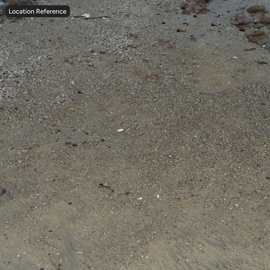 Compacted Sandy Ground Texture, Grey Buff