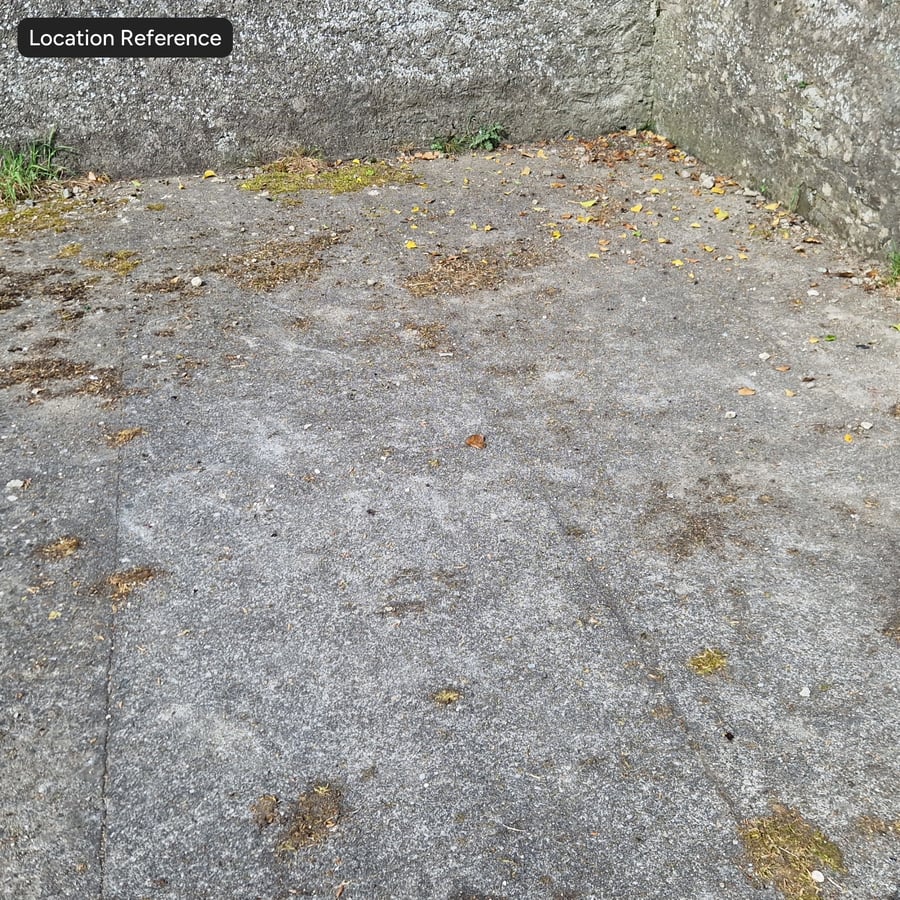 Old Mossy Concrete Ground Texture