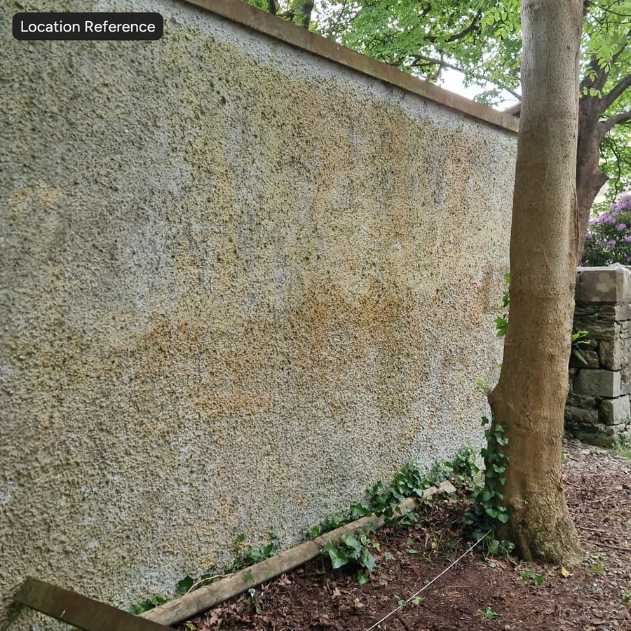 Yellowing Stucco Plaster Texture, Aged Sage