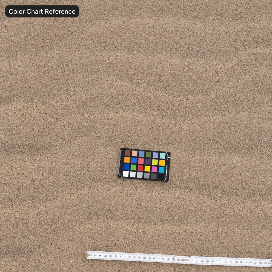 Wet Rippled Sand Texture