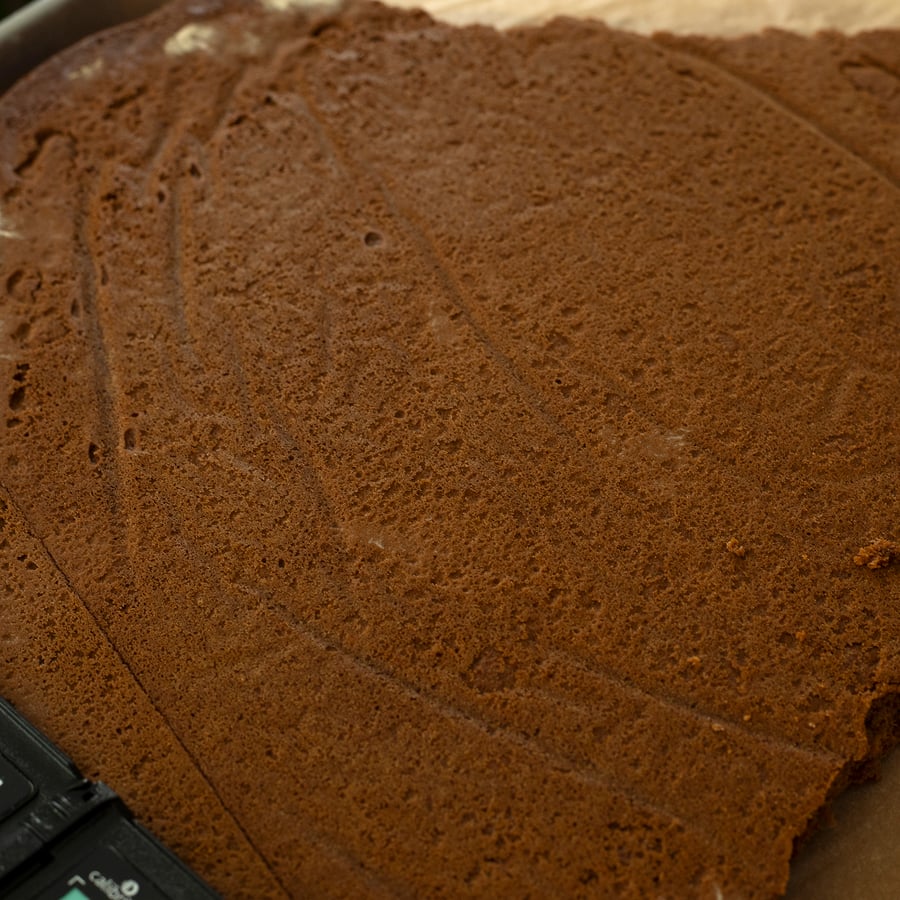 Toasted Gingerbread Cookie Back Texture