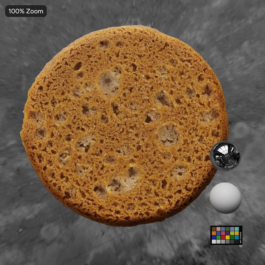 Tekstura grzbietu ciasteczka Snickerdoodle